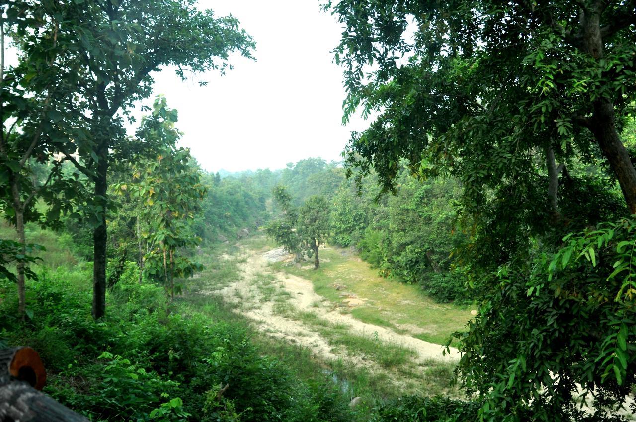 The Riverwood Forest Retreat Pench Khawasa Ngoại thất bức ảnh