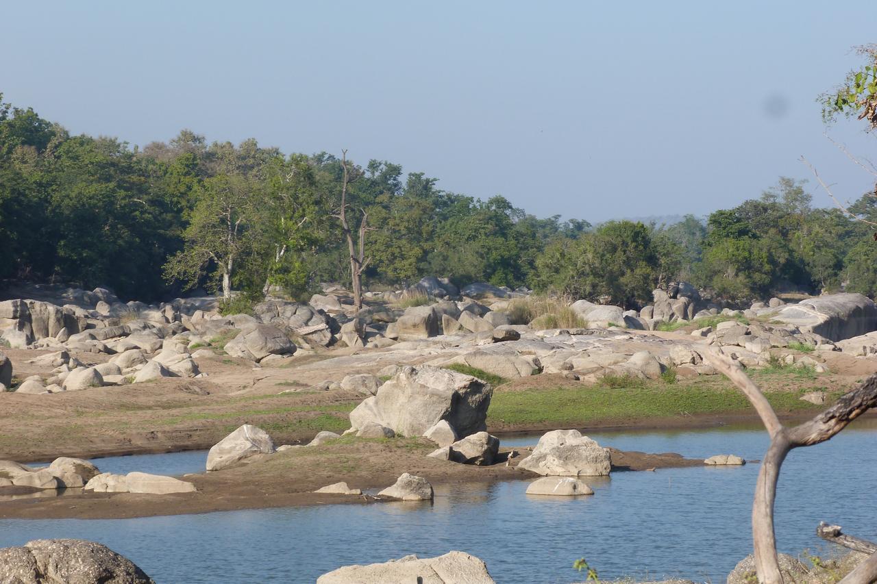 The Riverwood Forest Retreat Pench Khawasa Ngoại thất bức ảnh